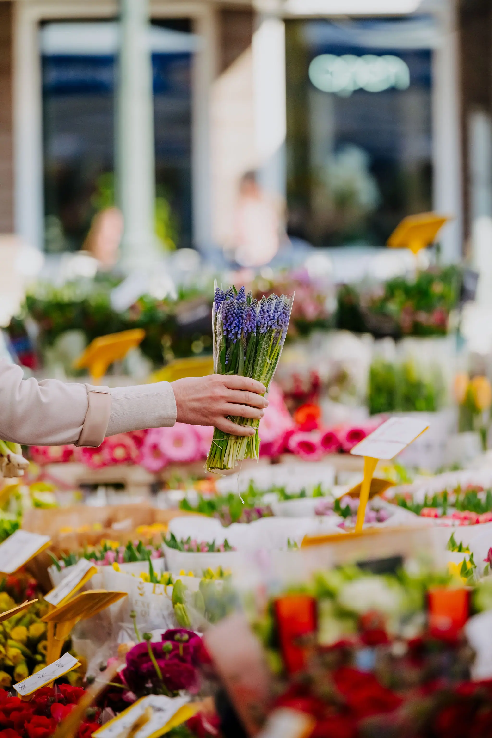 Arm van een persoon die een bos bloemen vasthoudt op een markt